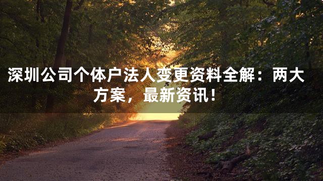深圳公司个体户法人变更资料全解：两大方案，最新资讯！