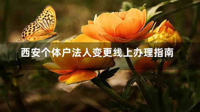西安个体户法人变更线上办理指南
