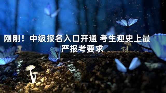 刚刚！中级报名入口开通 考生迎史上最严报考要求