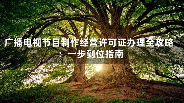 广播电视节目制作经营许可证办理全攻略：一步到位指南
