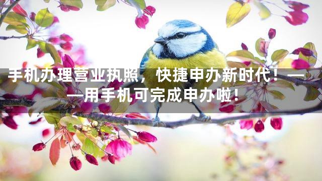 手机办理营业执照，快捷申办新时代！——用手机可完成申办啦！