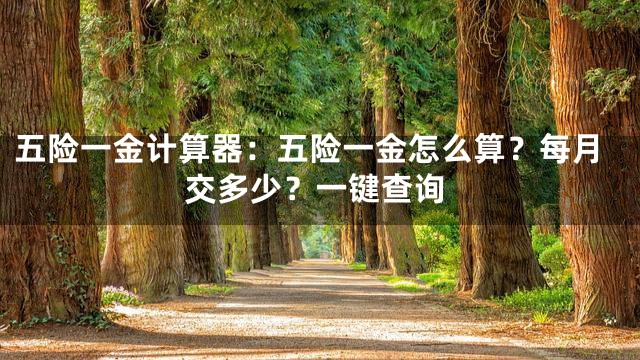 五险一金计算器：五险一金怎么算？每月交多少？一键查询