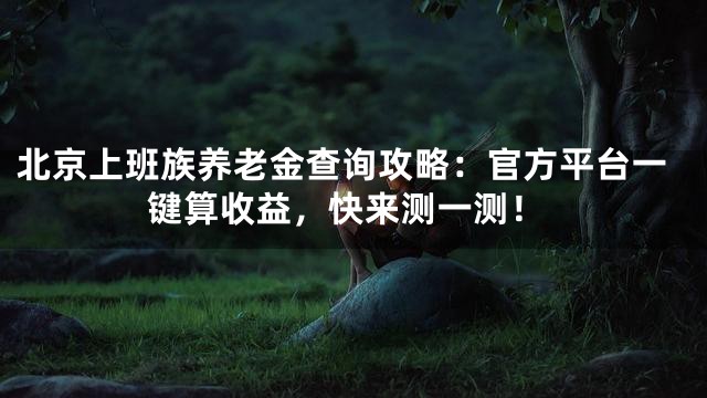 北京上班族养老金查询攻略：官方平台一键算收益，快来测一测！