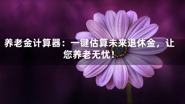 养老金计算器：一键估算未来退休金，让您养老无忧！
