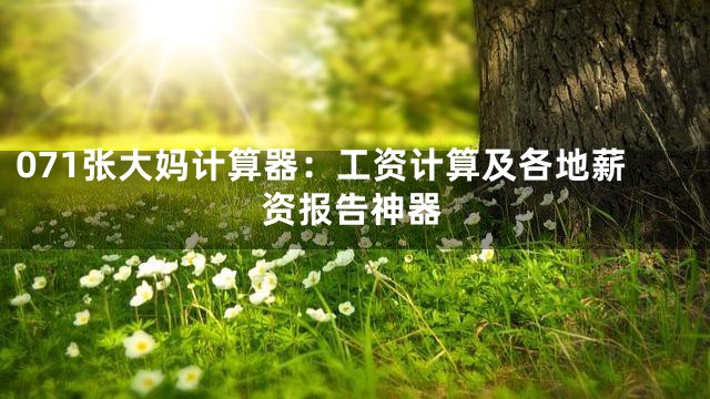 071张大妈计算器：工资计算及各地薪资报告神器