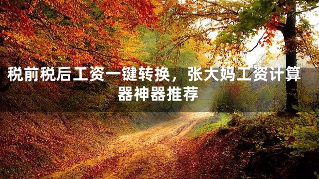 税前税后工资一键转换，张大妈工资计算器神器推荐