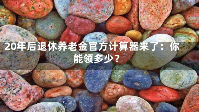 20年后退休养老金官方计算器来了：你能领多少？