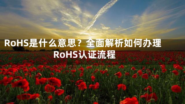 RoHS是什么意思？全面解析如何办理RoHS认证流程