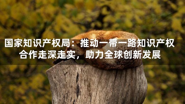 国家知识产权局：推动一带一路知识产权合作走深走实，助力全球创新发展