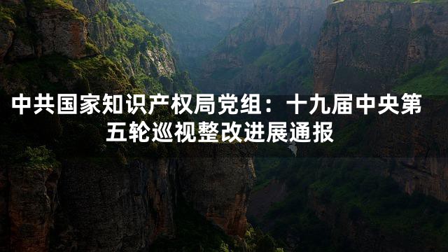 中共国家知识产权局党组：十九届中央第五轮巡视整改进展通报