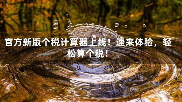 官方新版个税计算器上线！速来体验，轻松算个税！