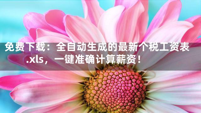 免费下载：全自动生成的最新个税工资表.xls，一键准确计算薪资！