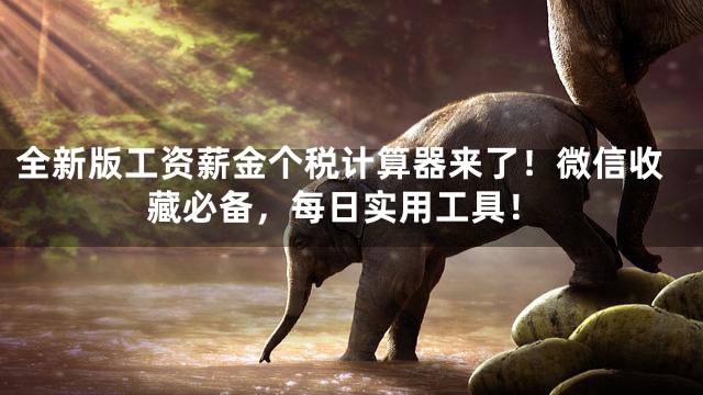 全新版工资薪金个税计算器来了！微信收藏必备，每日实用工具！
