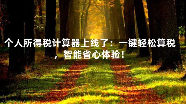 个人所得税计算器上线了：一键轻松算税，智能省心体验！