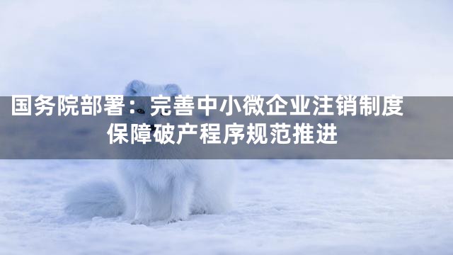 国务院部署：完善中小微企业注销制度 保障破产程序规范推进