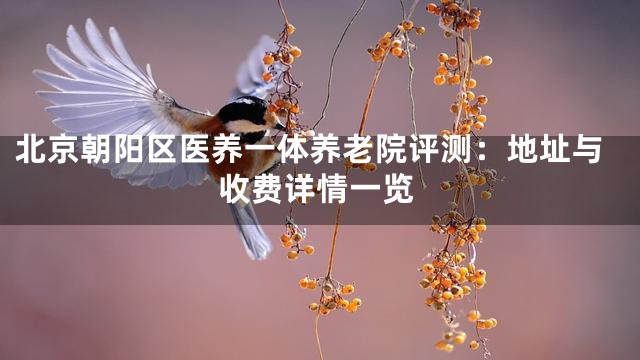 北京朝阳区医养一体养老院评测：地址与收费详情一览