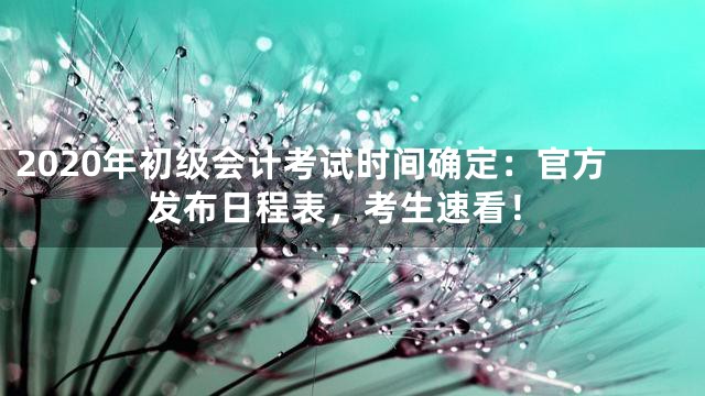 2020年初级会计考试时间确定：官方发布日程表，考生速看！