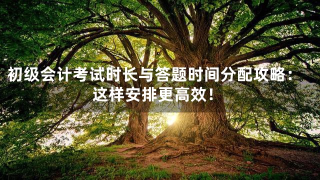 初级会计考试时长与答题时间分配攻略：这样安排更高效！