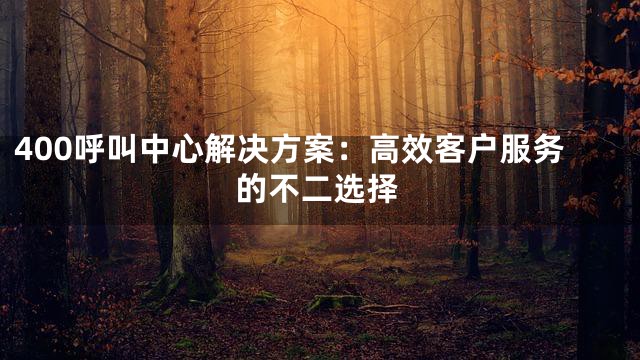 400呼叫中心解决方案：高效客户服务的不二选择