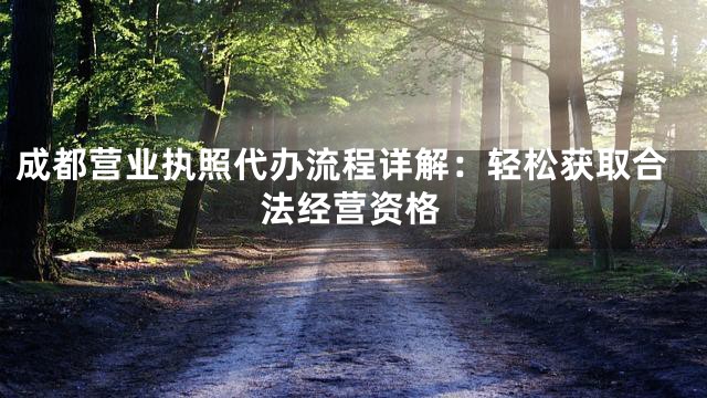 成都营业执照代办流程详解：轻松获取合法经营资格