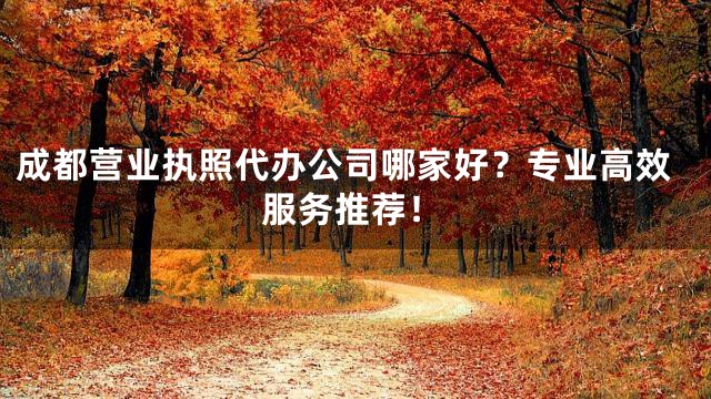 成都营业执照代办公司哪家好？专业高效服务推荐！