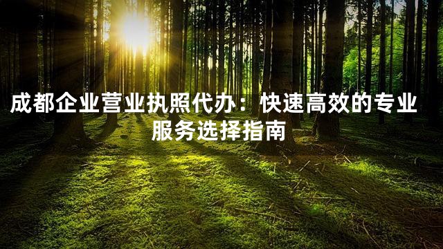 成都企业营业执照代办：快速高效的专业服务选择指南