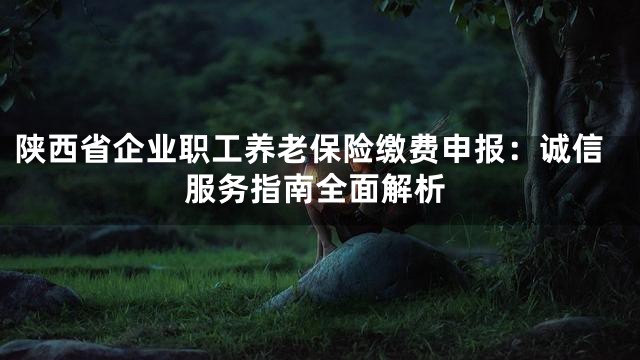 陕西省企业职工养老保险缴费申报：诚信服务指南全面解析