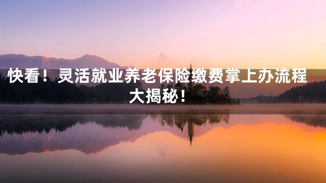 快看！灵活就业养老保险缴费掌上办流程大揭秘！