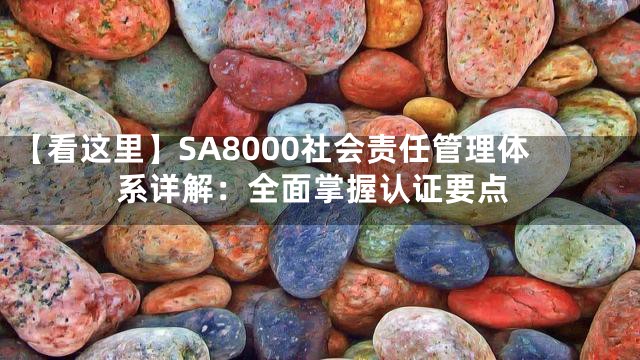 【看这里】SA8000社会责任管理体系详解：全面掌握认证要点
