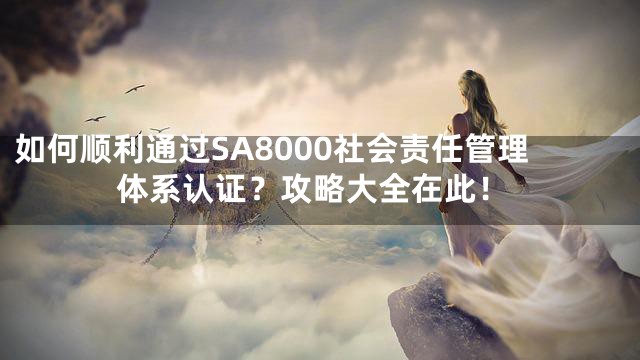 如何顺利通过SA8000社会责任管理体系认证？攻略大全在此！