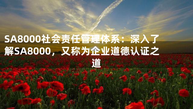 SA8000社会责任管理体系：深入了解SA8000，又称为企业道德认证之道