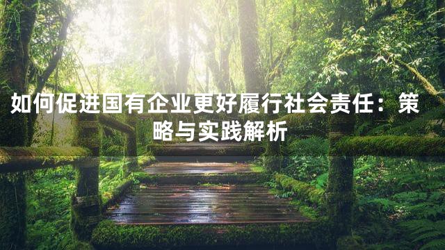 如何促进国有企业更好履行社会责任：策略与实践解析