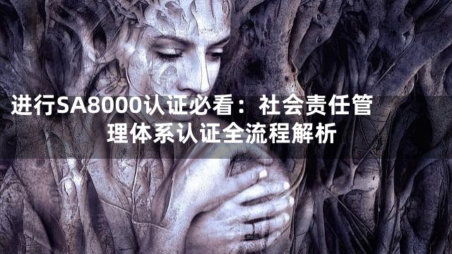进行SA8000认证必看：社会责任管理体系认证全流程解析