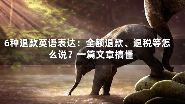 6种退款英语表达：全额退款、退税等怎么说？一篇文章搞懂
