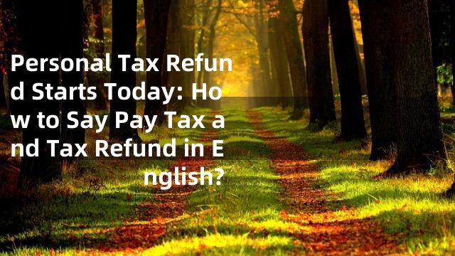 Personal Tax Refund Starts Today: How to Say Pay Tax and Tax Refund in English?