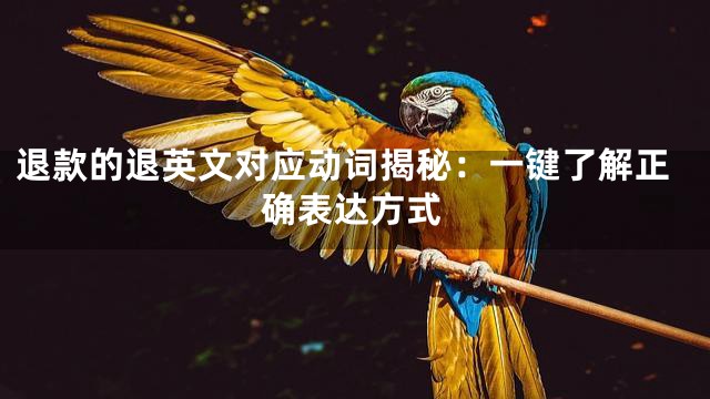 退款的退英文对应动词揭秘：一键了解正确表达方式