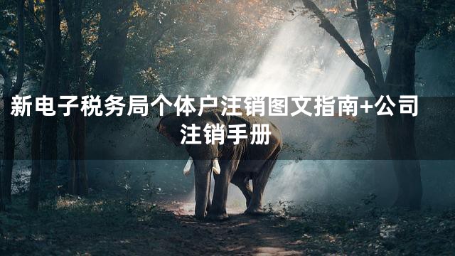新电子税务局个体户注销图文指南+公司注销手册