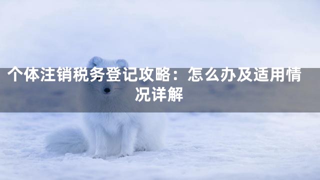 个体注销税务登记攻略：怎么办及适用情况详解