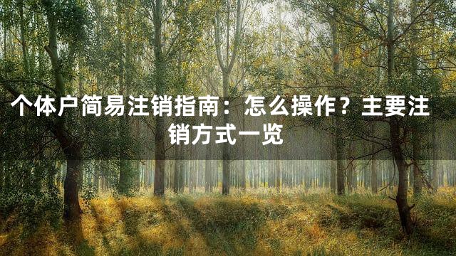 个体户简易注销指南：怎么操作？主要注销方式一览