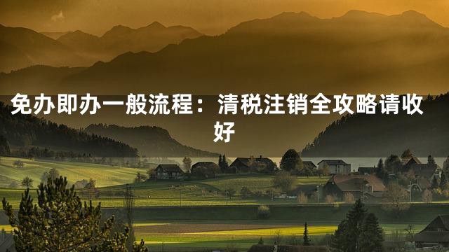 免办即办一般流程：清税注销全攻略请收好