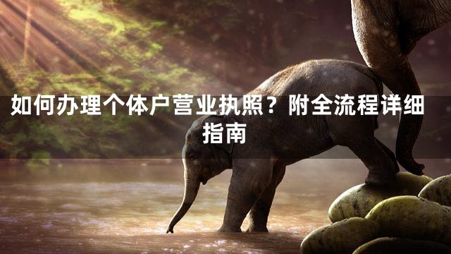 如何办理个体户营业执照？附全流程详细指南