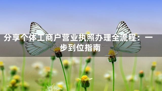 分享个体工商户营业执照办理全流程：一步到位指南