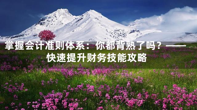 掌握会计准则体系：你都背熟了吗？——快速提升财务技能攻略