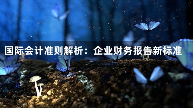 国际会计准则解析：企业财务报告新标准