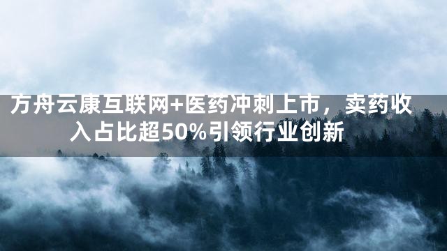 方舟云康互联网+医药冲刺上市，卖药收入占比超50%引领行业创新