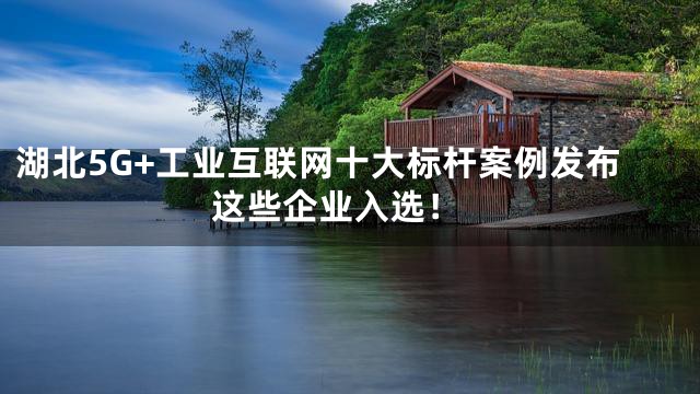 湖北5G+工业互联网十大标杆案例发布 这些企业入选！