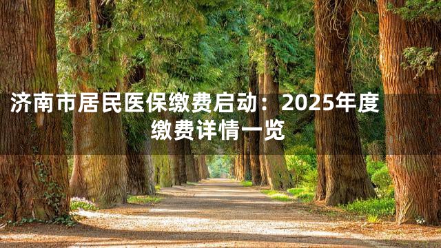 济南市居民医保缴费启动：2025年度缴费详情一览