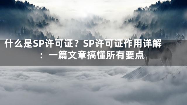 什么是SP许可证？SP许可证作用详解：一篇文章搞懂所有要点