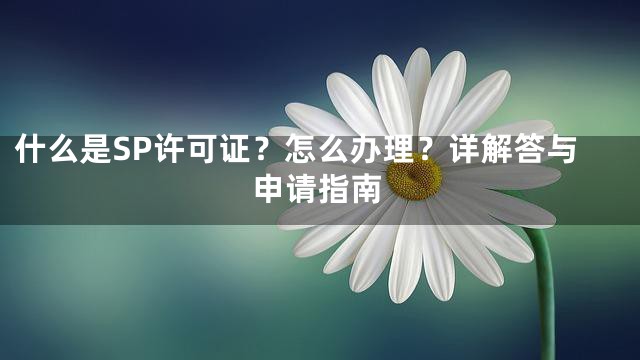什么是SP许可证？怎么办理？详解答与申请指南