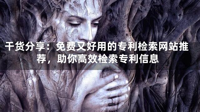 干货分享：免费又好用的专利检索网站推荐，助你高效检索专利信息